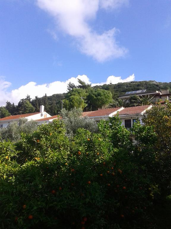 Aggelos Kefalonia Lassi  Eksteriør bilde